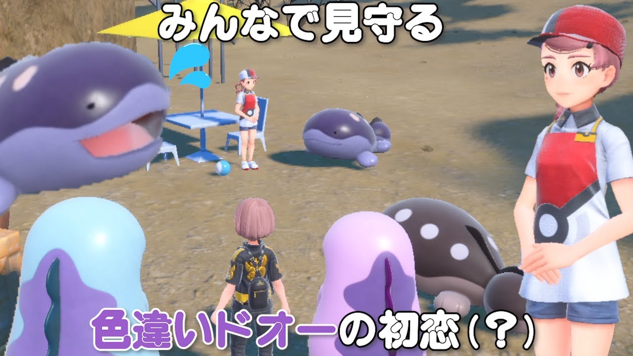 俺の色違いドオーがポケセンのお姉さんに初恋？っぽいので皆で見守った【ポケモンSV】