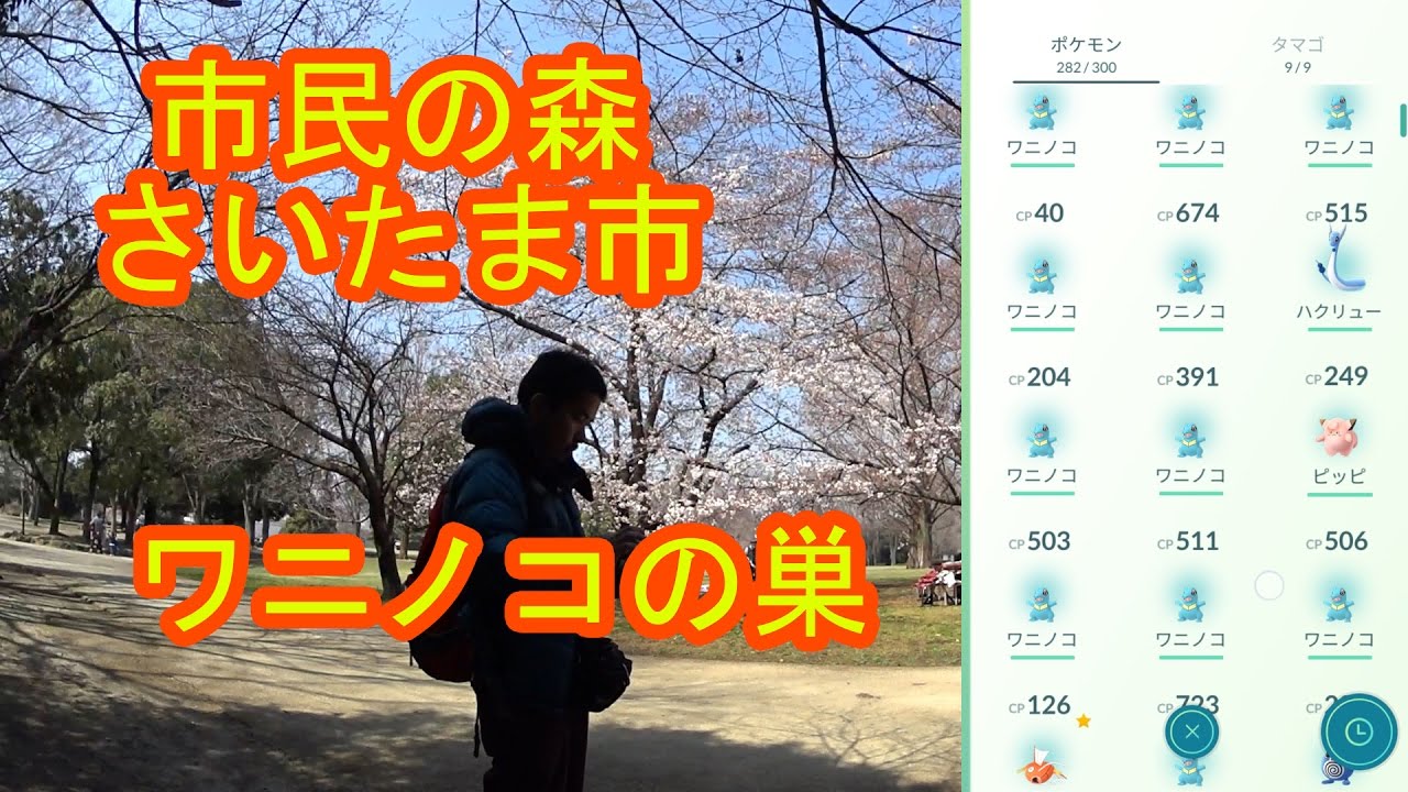 【ポケモンGO】 ワニノコの巣でワニノコを狩りまくる 市民の森(埼玉県さいたま市)