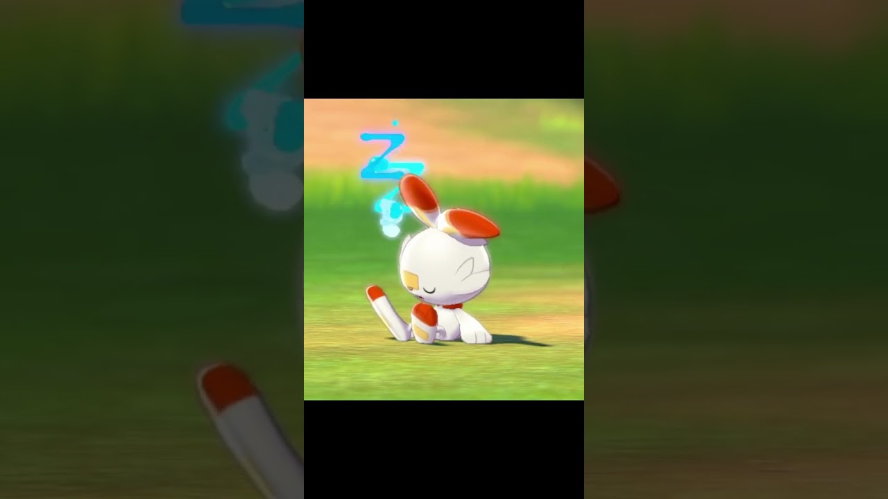 寝ているヒバニー　#Shorts