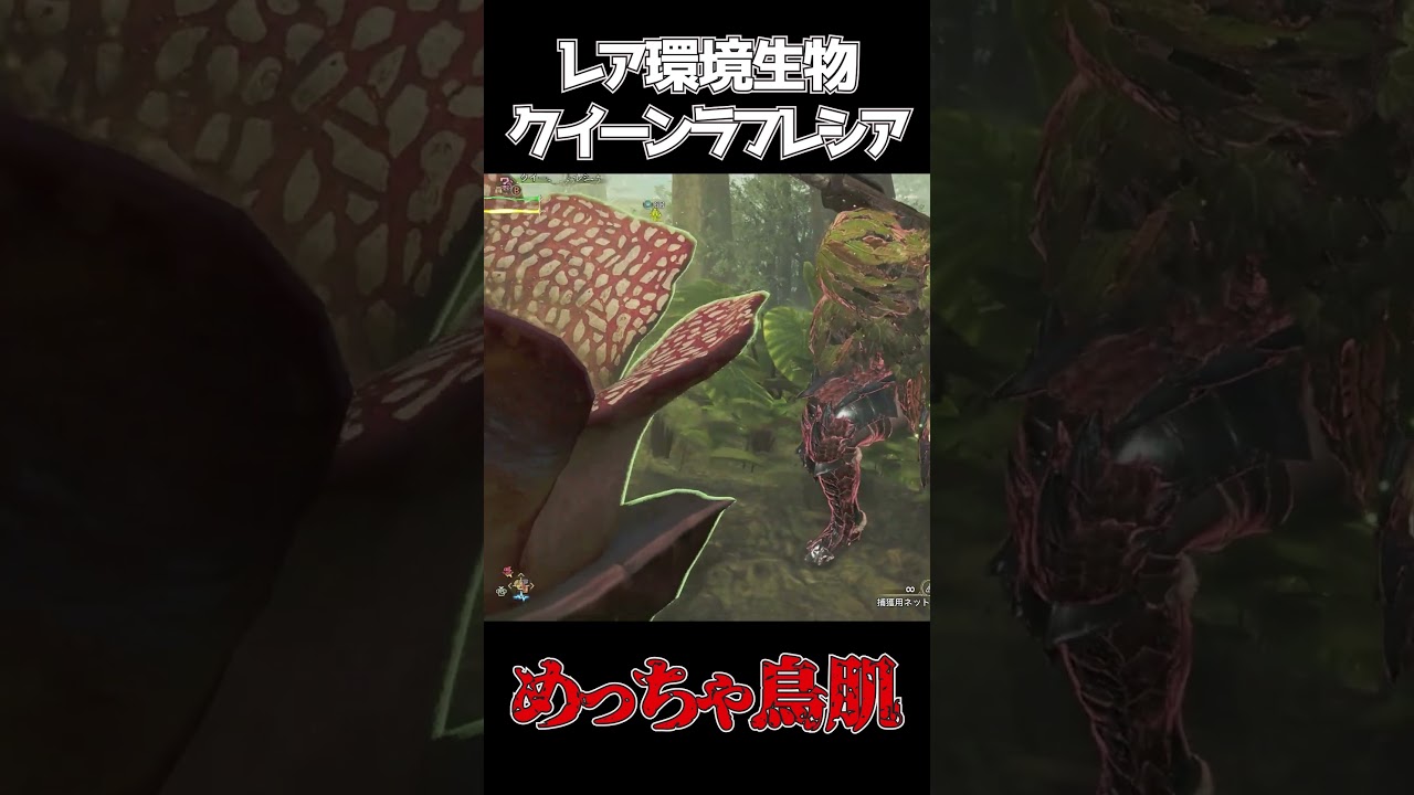 クイーンラフレシア #モンハンワイルズ #レア環境生物 #shorts