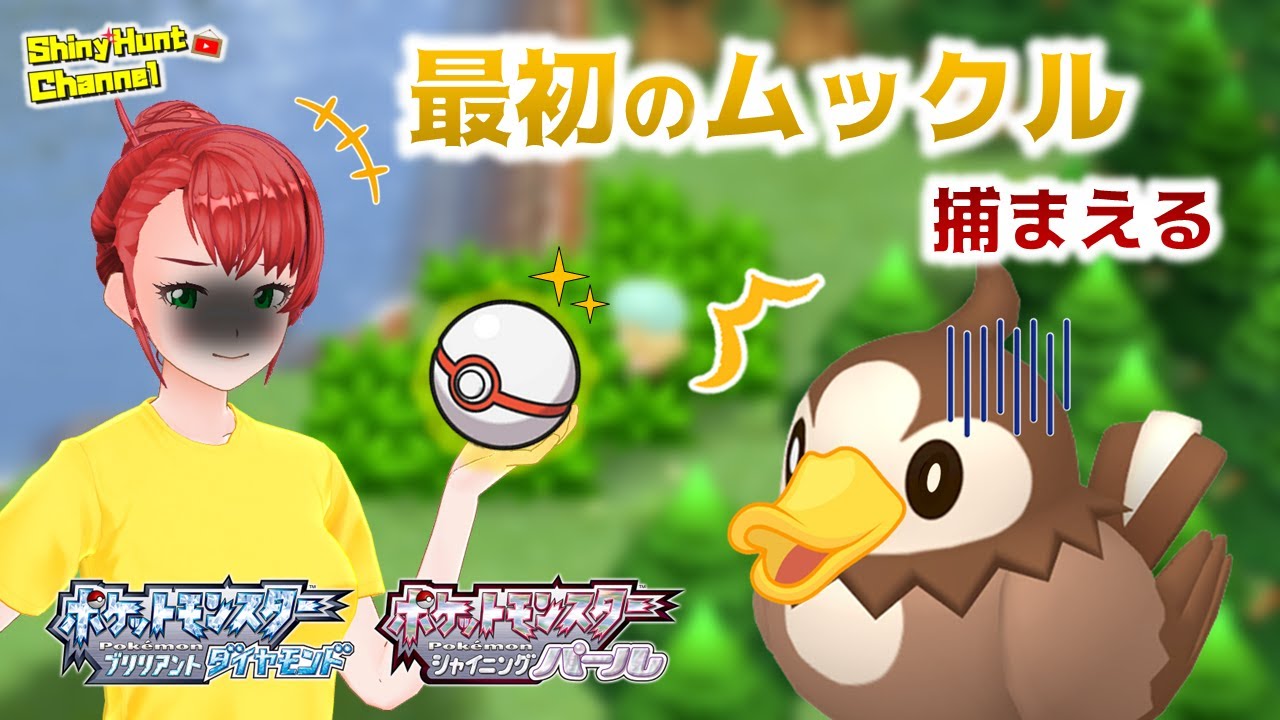 【ポケモンBDSP】最初のムックルを色違いで捕まえる _20250321