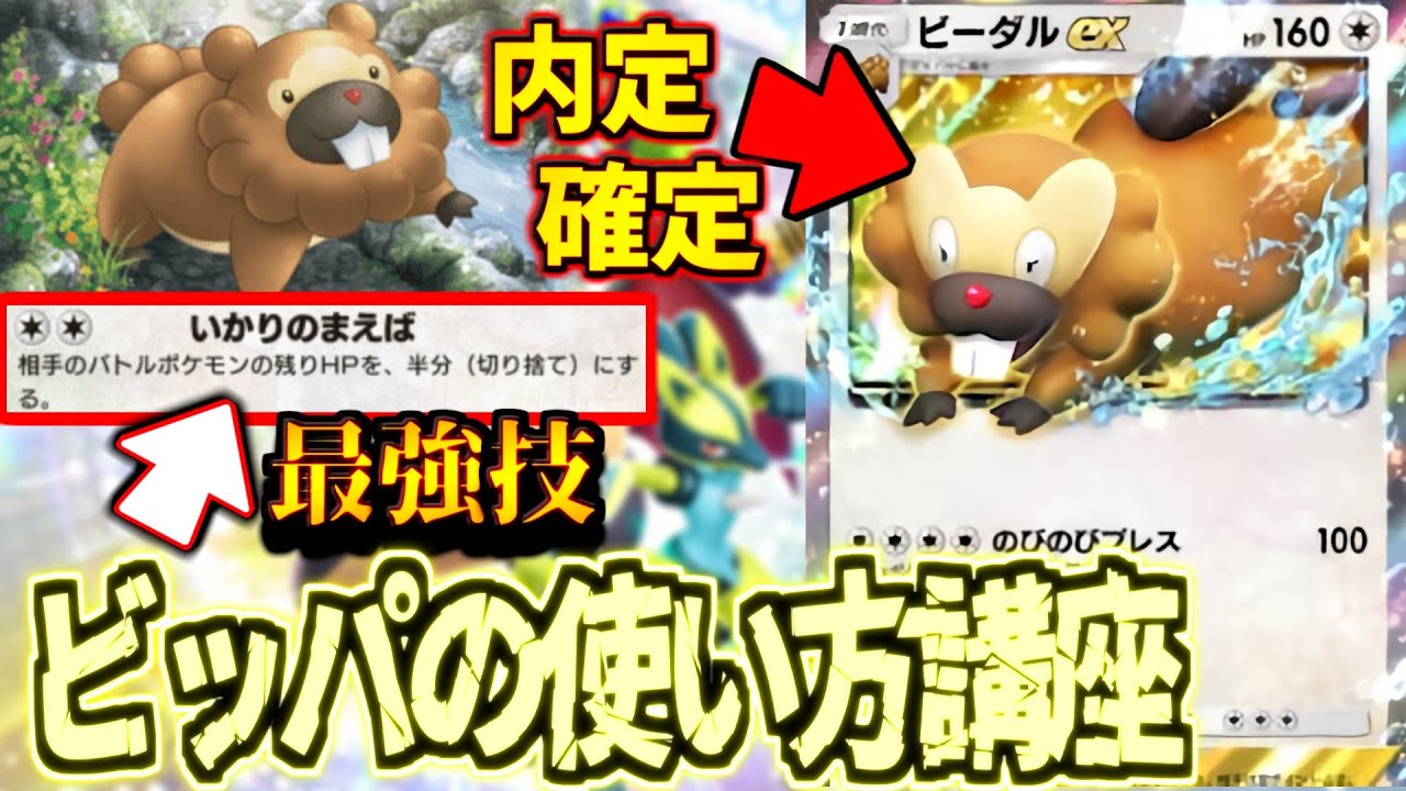 【ポケポケ】2エネ100ダメ!?ビーダルexが来るから最強のビッパを今のうちに使いこなせ!