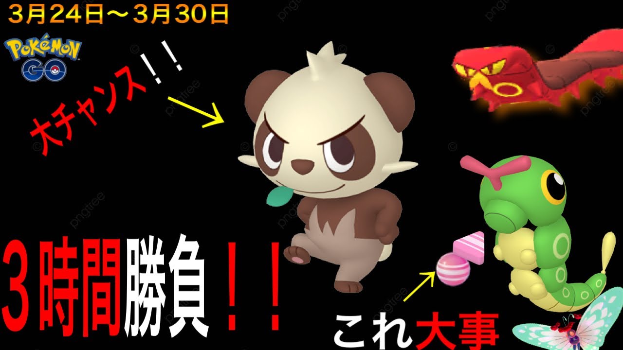 今週は先を見据えたポケ活が大事！！アメ&アメXL集めをしよう！週末はレアポケモンの色違いチャンス！！