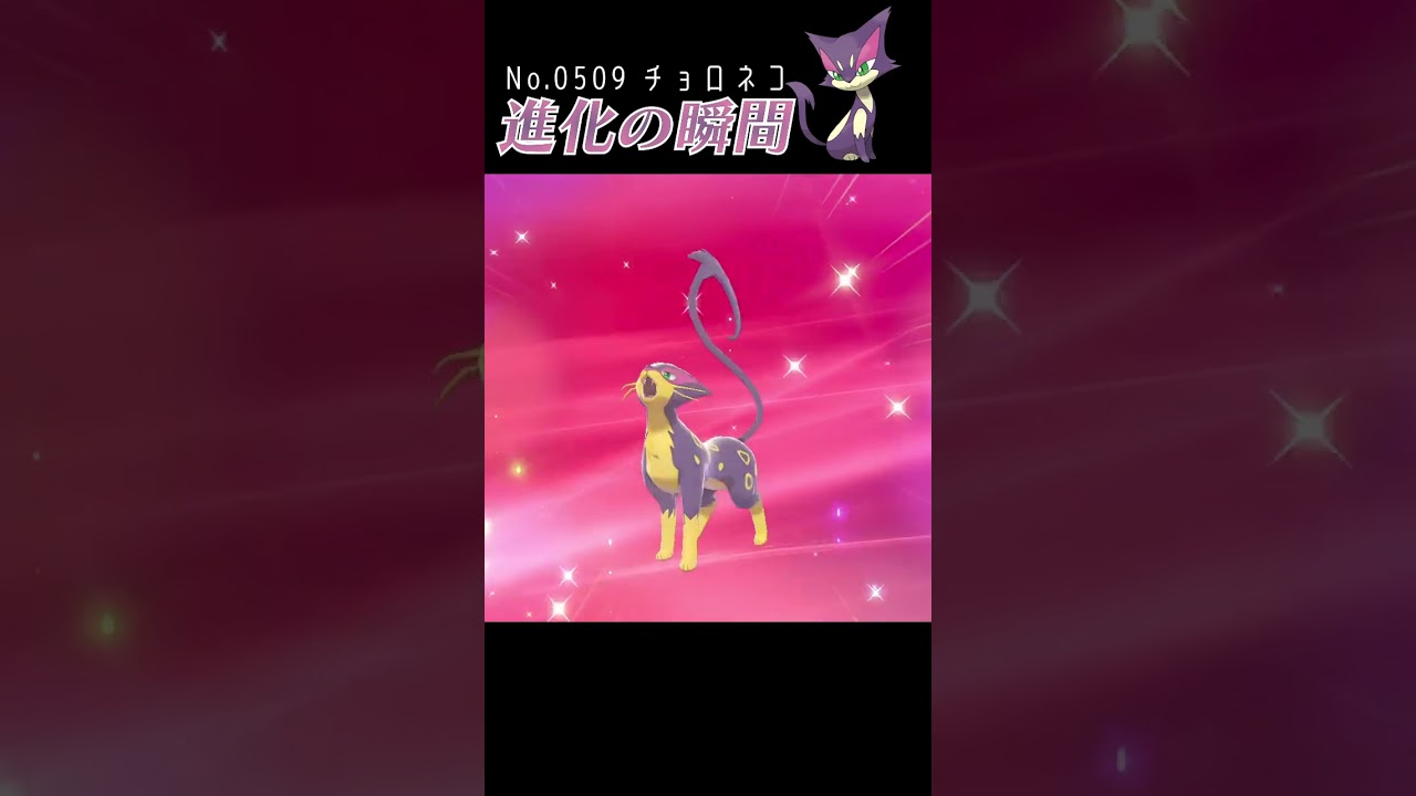 【ポケモン剣盾】チョロネコ 進化の瞬間 #shorts
