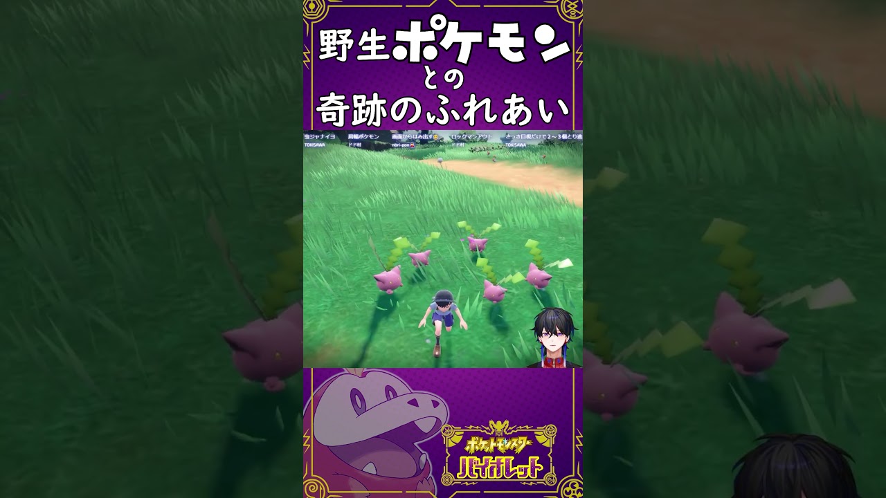 【ポケモンSV】ハネッコたちとの奇跡のふれあい【#shorts #ポケモン #ポケモンsv #ゲーム実況】