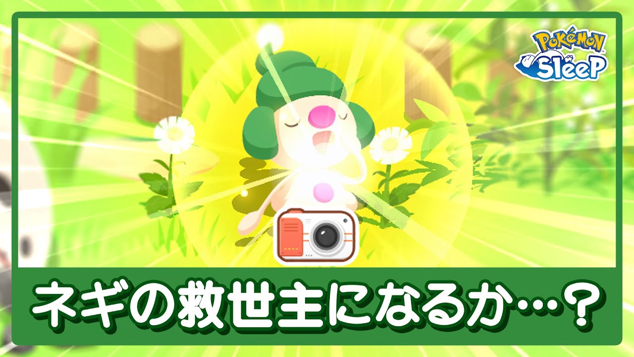 【ポケモンスリープ】色違いマネネ…ネギの救世主になれるか…？？