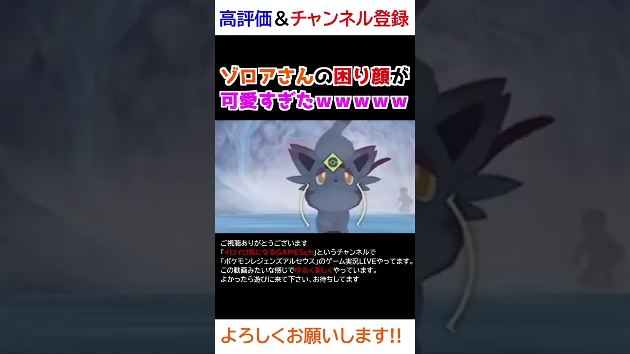ゾロアさんの困り顔が可愛すぎるｗｗｗ【Pokémon LEGENDS アルセウス】