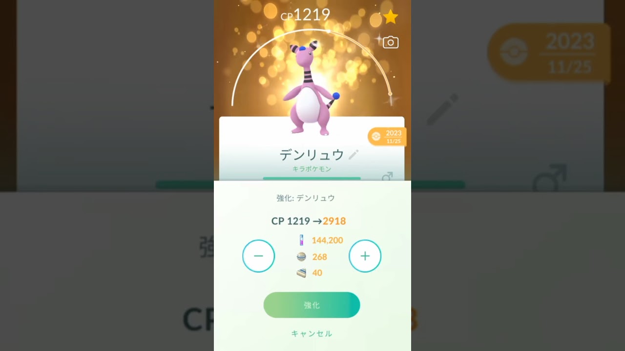 ポケモンGO　色違いデンリュウをPL15からPL40まで強化をやってみた。
