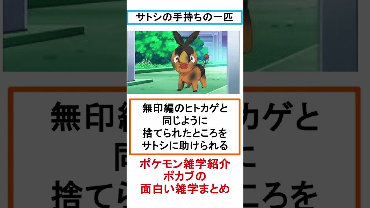 ポカブの面白い雑学まとめ 【#shorts】  【#ポケモン】 【#ポケモン解説】