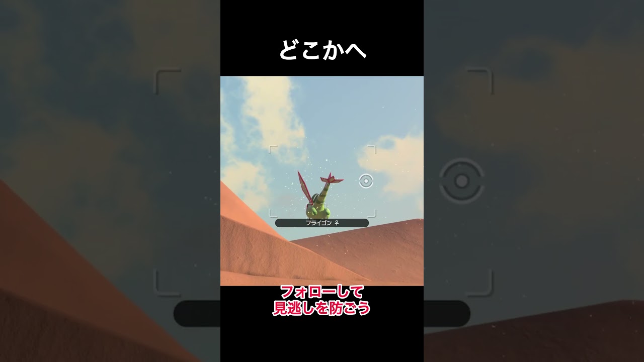 母ちゃんフライゴン　#フライゴン #ナックラー