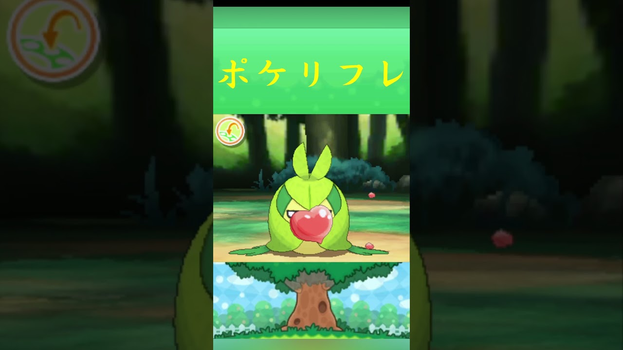 ポケモン クルマユ ポケリフレ ポケパルレ #ポケモン #Pokemon  #3DS #ポケモン技 #ポケモンsv #ポケモン #ふれあい #キャンプ #カレー #サンドイッチ #ピクニック