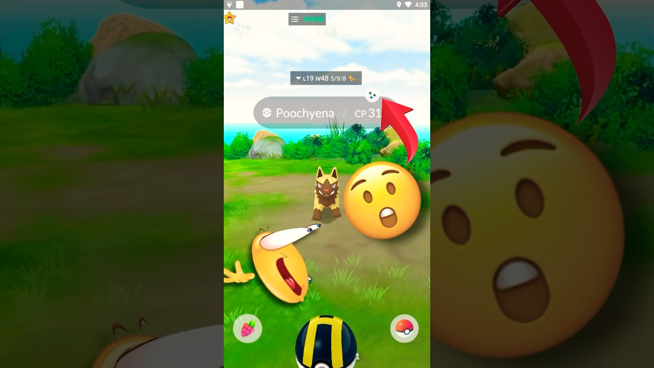 Shiny Poochyena 🐺 #pokemongo #pokemon #wildshiny #shinypokemon