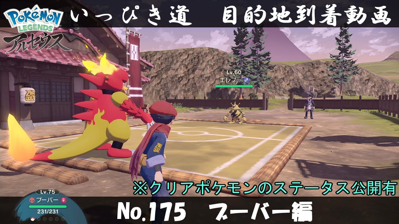 【いっぴき道攻略】No.175 ブーバー編【Pokémon LEGENDS アルセウス】