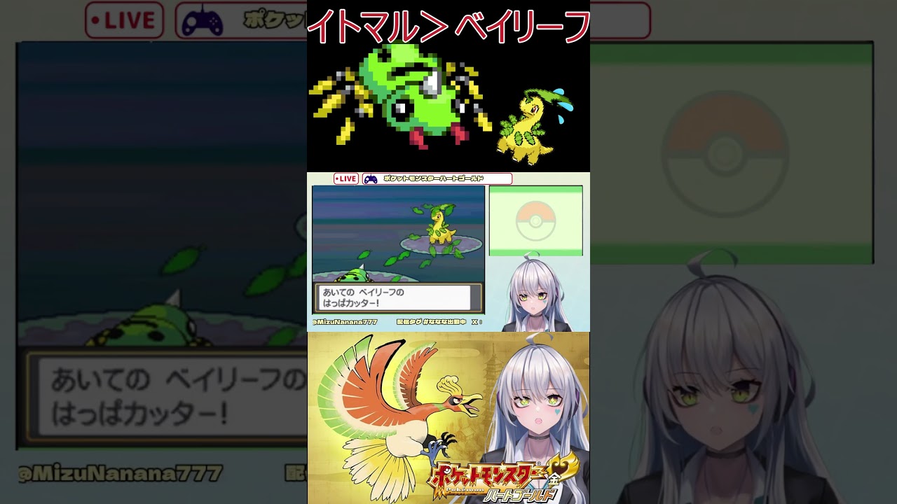 イトマルさん、うっかりベイリーフを圧倒してしまう【#みずななな】