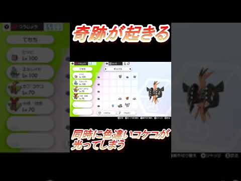 【奇跡】一度のレイドで同時に二匹の色違いカプ・コケコが爆誕【ポケモン剣盾】