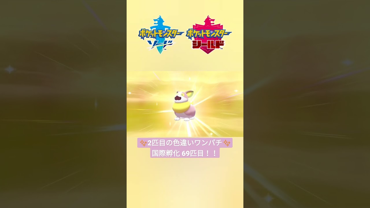 【ポケモン剣盾】国際孵化で2匹目の色違いワンパチ✨ #shorts