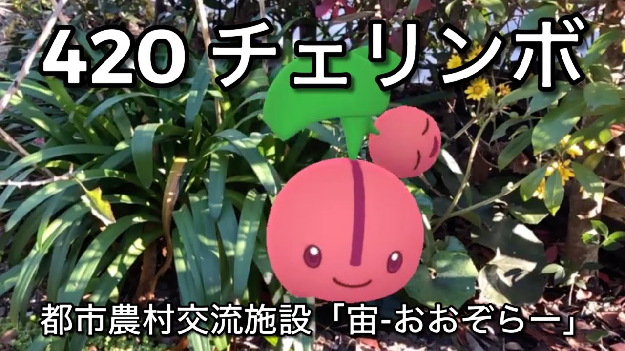 【ポケGO動くポケモンずかん】420チェリンボ｜Cherubi【ポケモンGO】PoKeMoN GO AR｜AR動画｜GOsnapshot｜あわじ花へんろ第六十二番花の札所