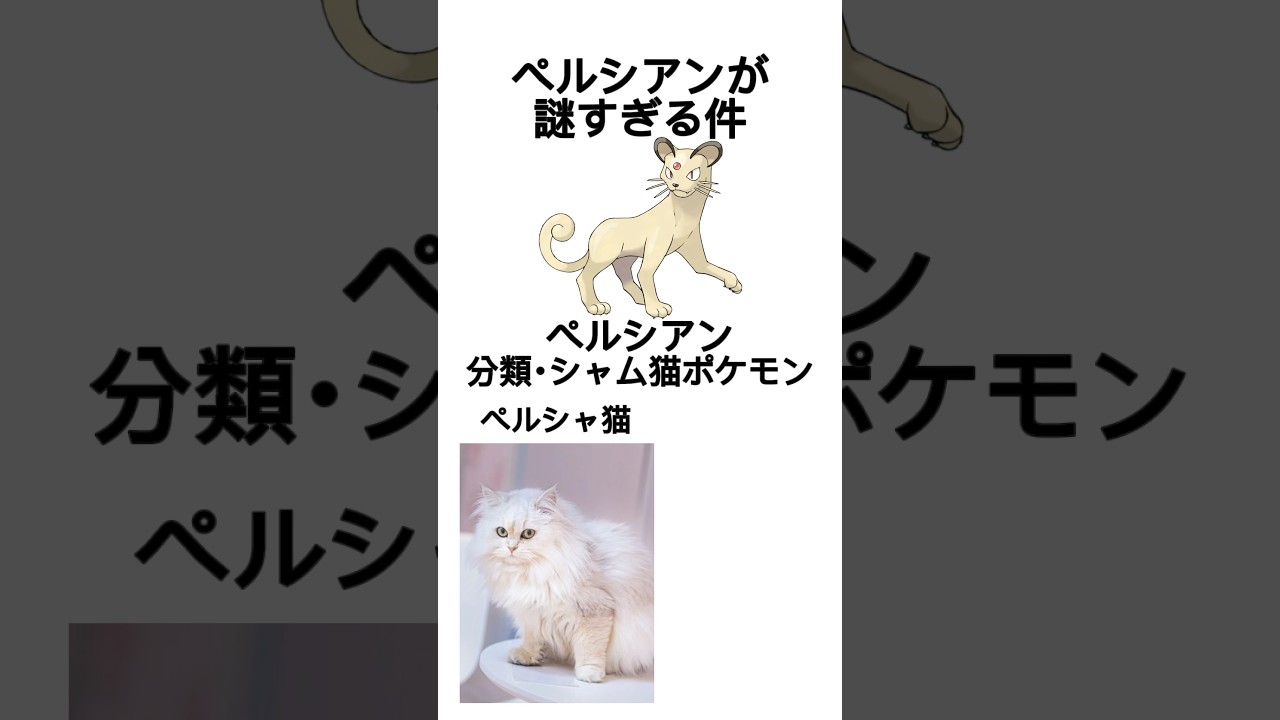 ペルシアン、モチーフなんだよ。