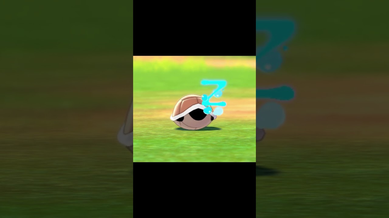 寝ているゼニガメ　#Shorts