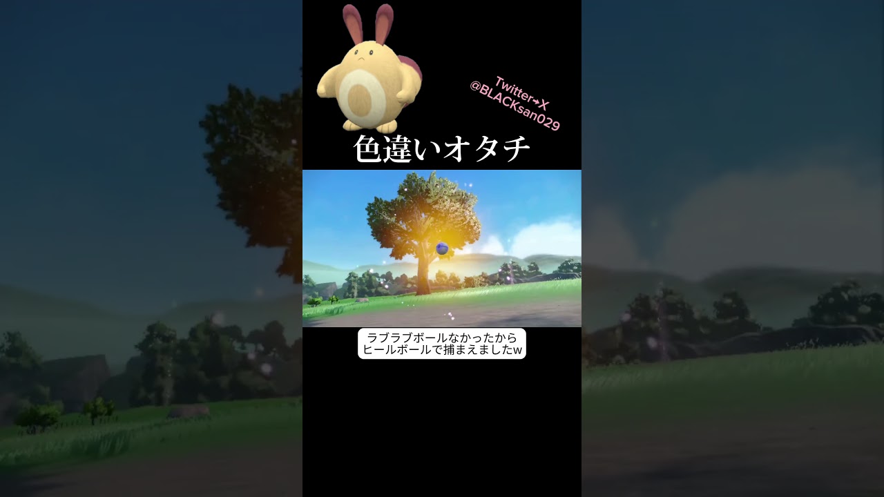 【ポケモンSV】この可愛さはズルすぎるって！ #ポケモンsv #ポケットモンスター #色違い #色違い厳選 #オタチ #オオタチ #碧の仮面 #短足 #shorts