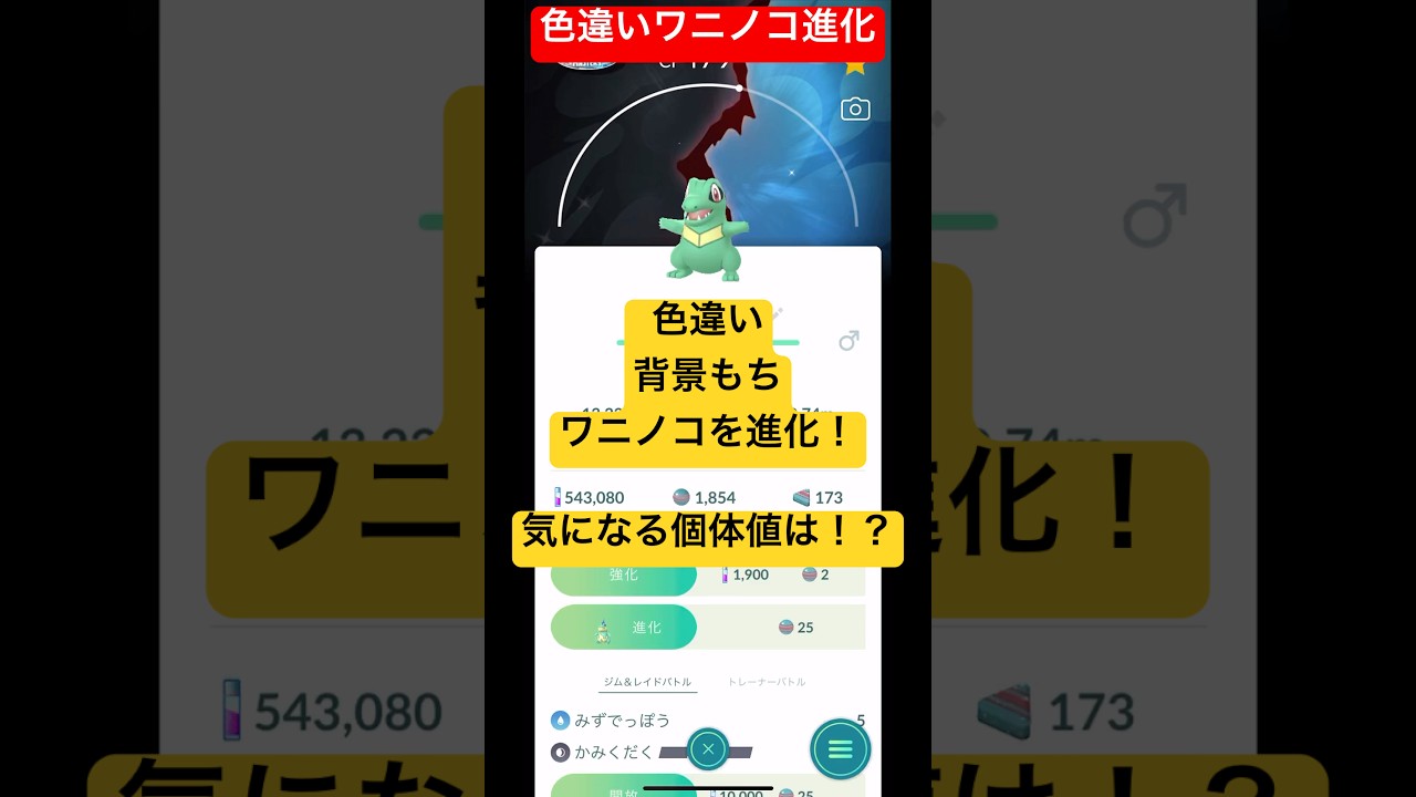 色違いワニノコを進化！背景もち色違いワニノコの個体値は！？#ポケモンgo #ポケモン #pokemongo #pokemon #shorts #short