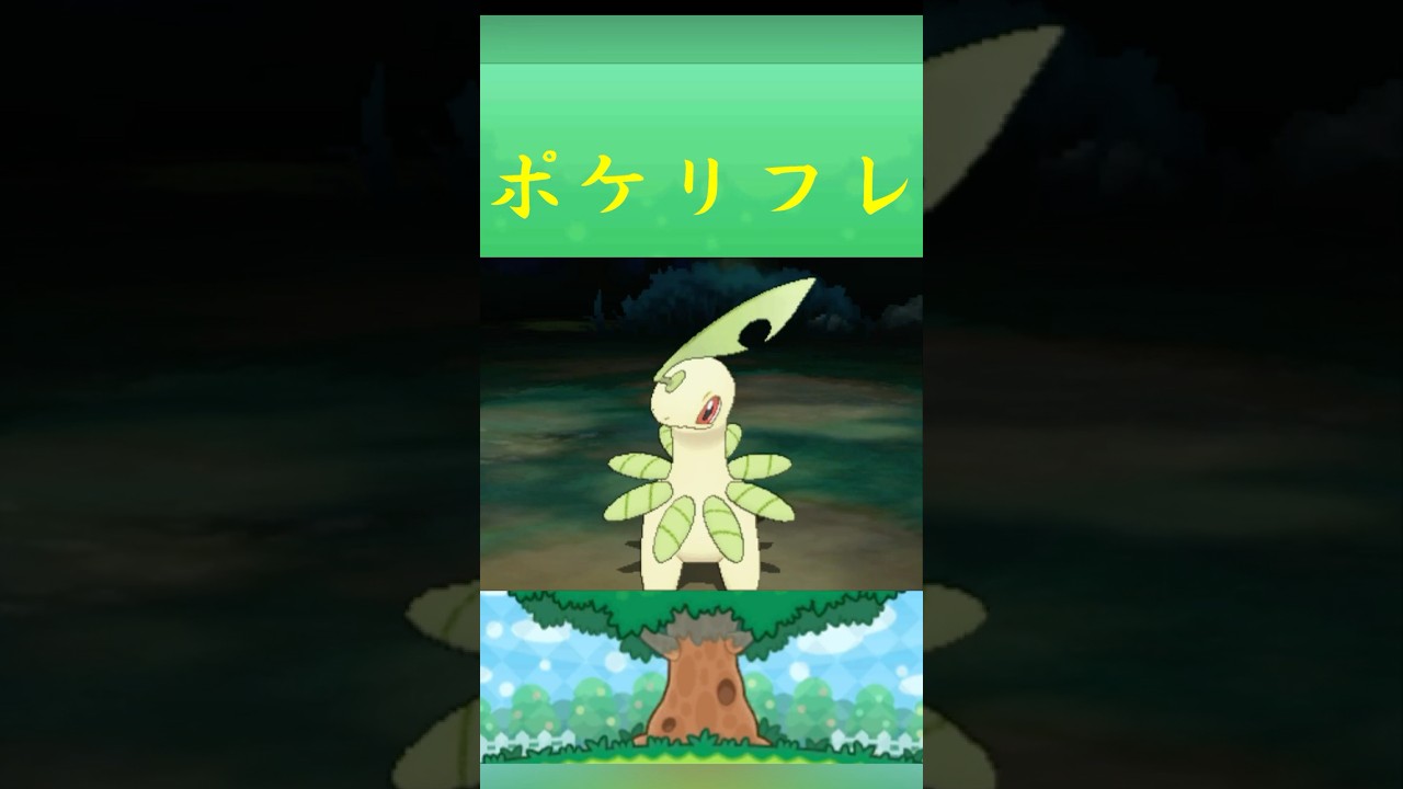 ポケモン ベイリーフ ポケリフレ ポケパルレ #ポケモン #Pokemon  #3DS #ポケモン技 #ポケモンsv #ポケモン #ふれあい