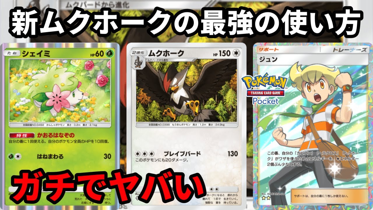 新ムクホークの最強の使い方！シェイミの回復でデメリットを消すのがガチでヤバい【Pokémon Trading Card Game Pocket】【ポケポケ】
