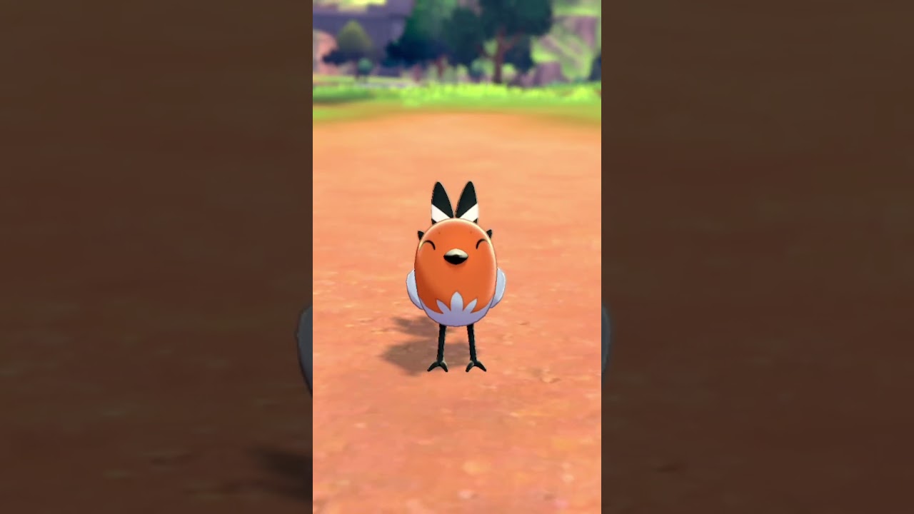 ヤヤコマ Fletchling【ポケモン剣盾】