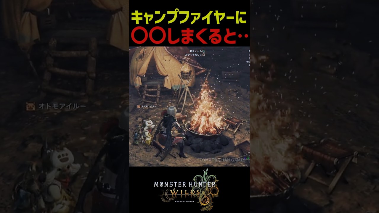 キャンプファイヤーで〇〇しまくると・・・【モンハンワイルズ】