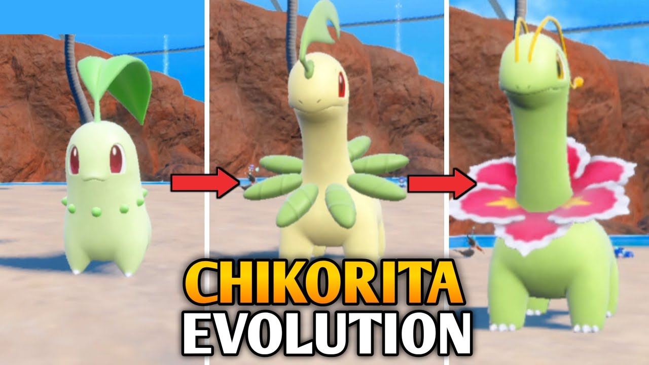 How To Evolve Chikorita Into Bayleef And Meganium In Pokemon Scarlet & Violet | Indigo Disk DLC