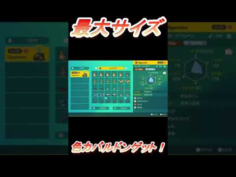 最大サイズ でっかい色カバルドンをゲット！【ポケモンSV】
