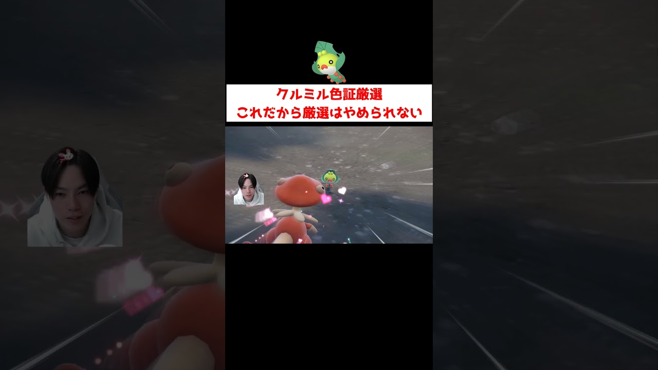 クルミル色証厳選 #ゲーム実況 #shorts #ポケモン #ポケモンSV #クルミル　#色違い