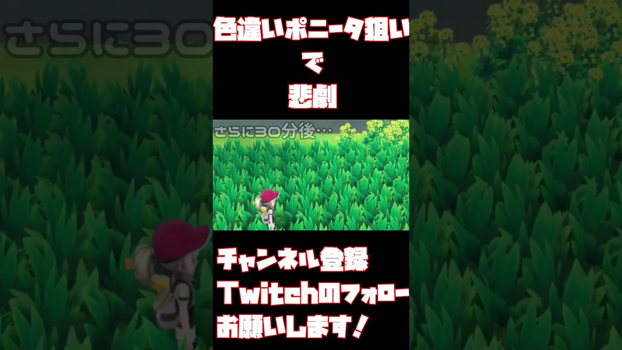 ピカブイ】ポニータの色違いを探したら違うやつが大量に沸いて発狂した。#ポケモン