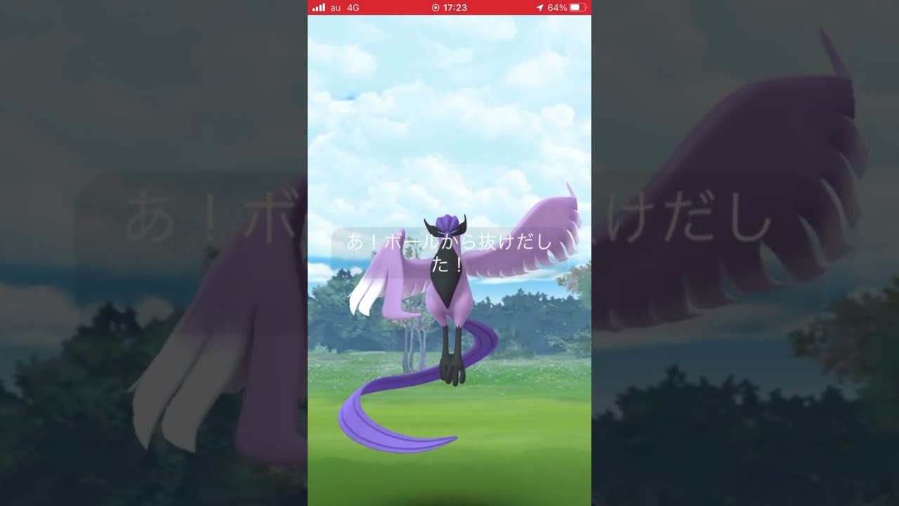 【お散歩おこう】ガラルフリーザー【初】