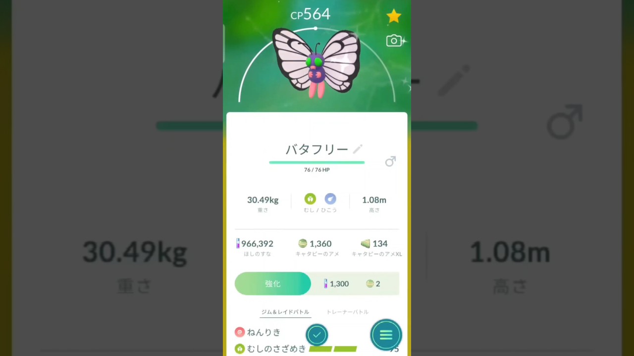 色違い　キャタピーからバタフリーに進化　ポケモンGO