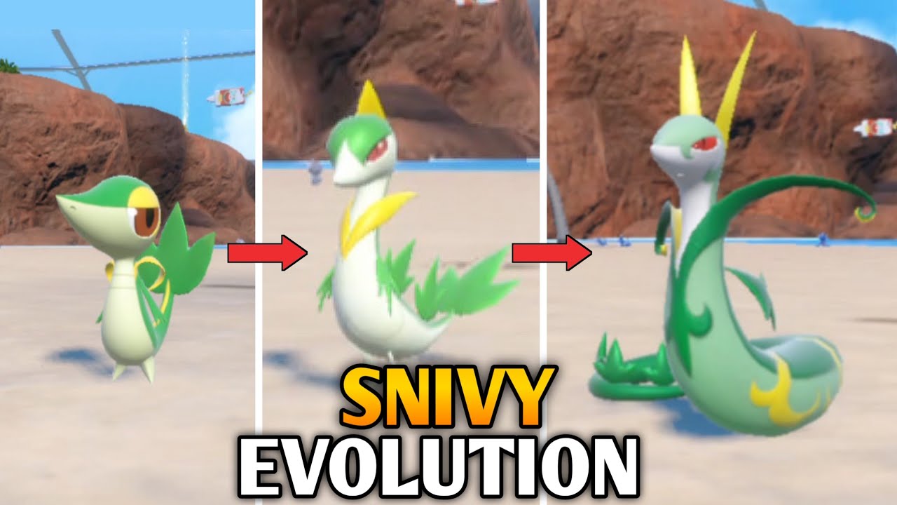 How To Evolve Snivy into Servine And Serperior In Pokemon Scarlet & Violet | Indigo Disk DLC
