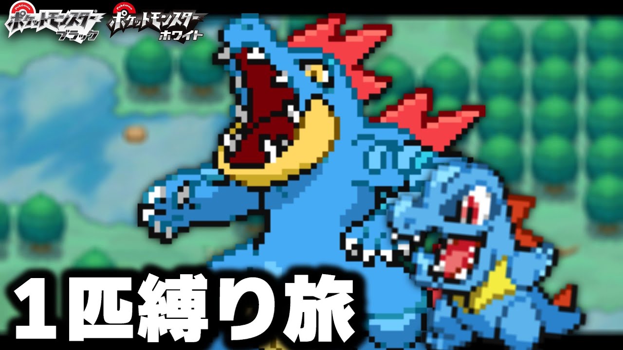 ワニノコLv5がイッシュ地方の最初のポケモンだったら【オーダイル/アリゲイツ】