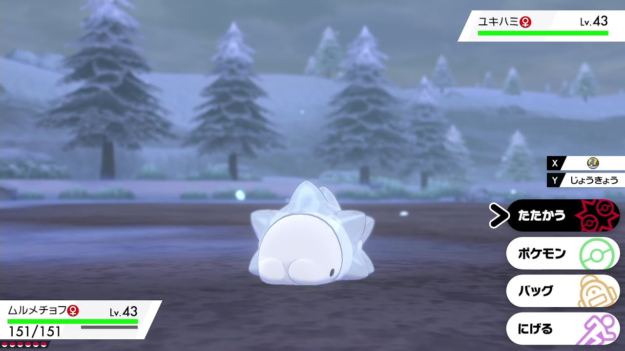 間違っておしりが顔にくっついてゐる【ポケットモンスターソード】人生縛り 実況プレイpart25