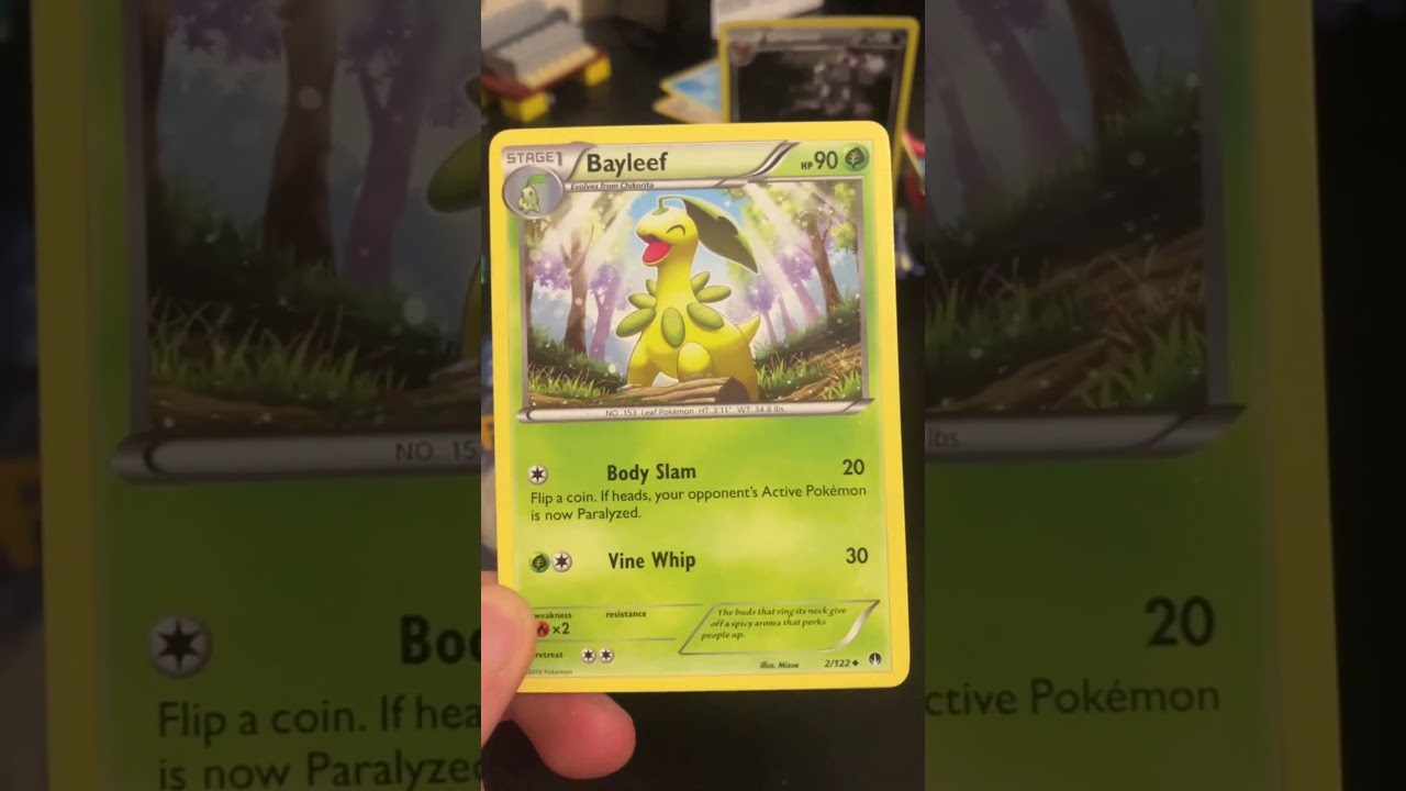 Ranking Pokémon cards everyday day 3 Bayleef #pokemoncards