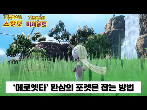 [포켓몬스터 스칼렛 바이올렛] '메로엣타' 환상의 포켓몬 잡는 방법 위치 쉽게 알려 드립니다. (남청의 원반 DLC)