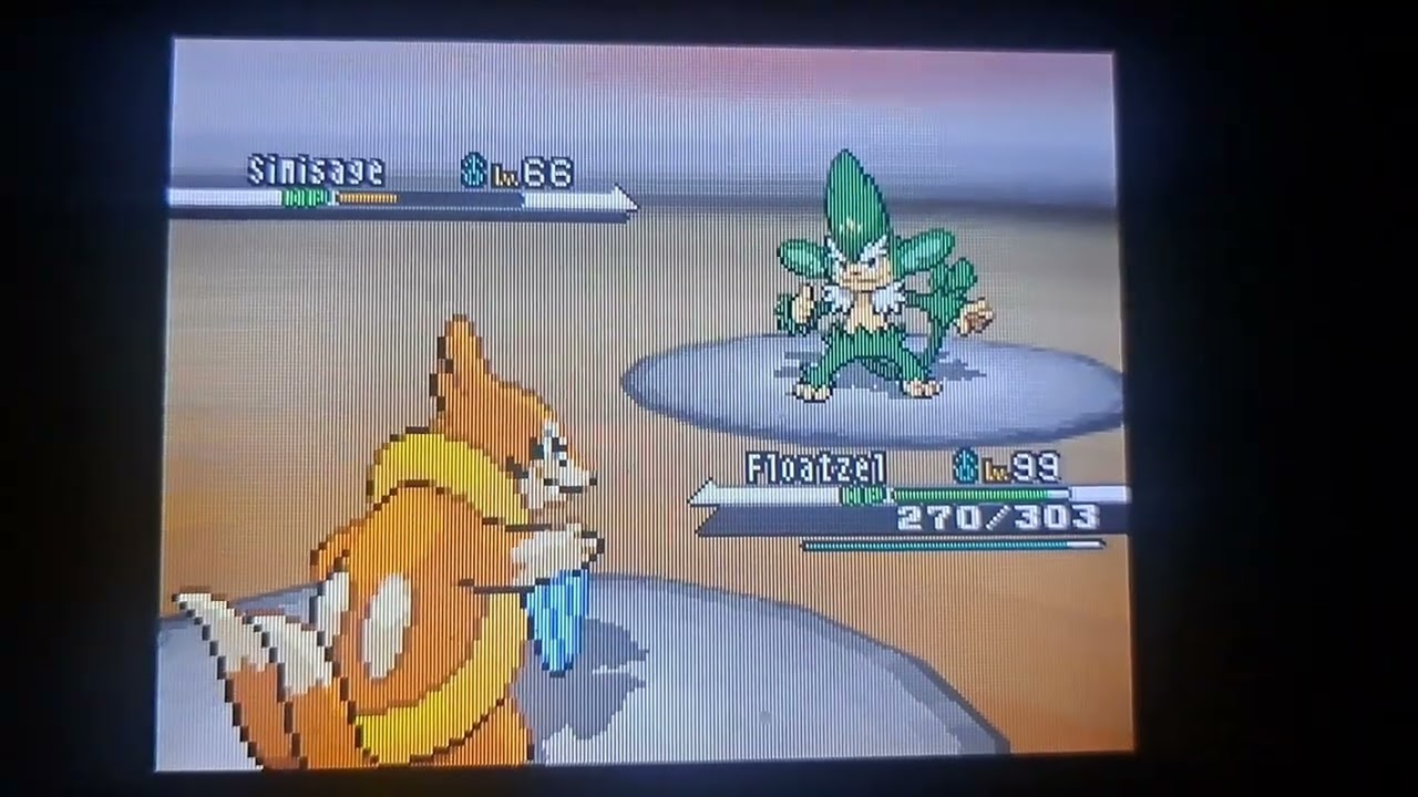 Level 100 Floatzel #104