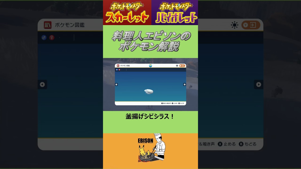 エビソンのポケモン解説104　#ポケモンsv #スカーレットバイオレット #シビシラス