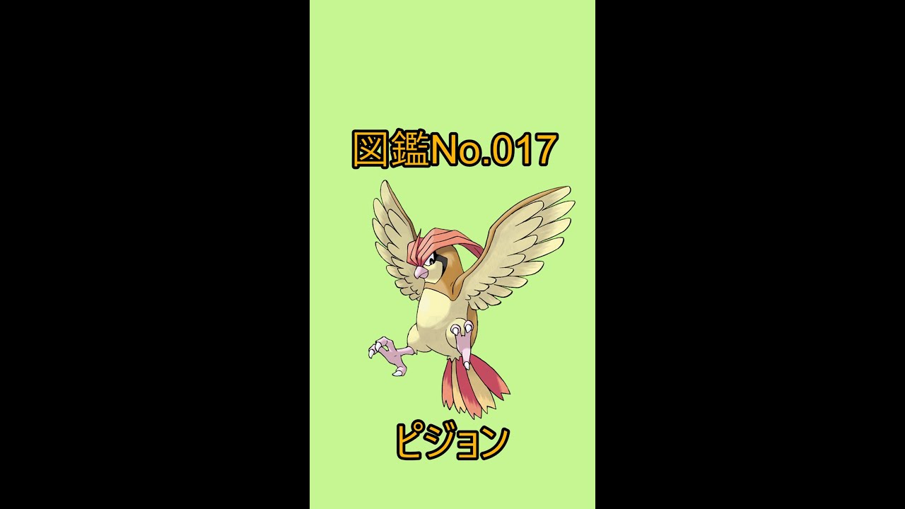 【ポケットモンスター】ポケモン図鑑じっくり解析シリーズ！ーNo.017ピジョンー#Shorts