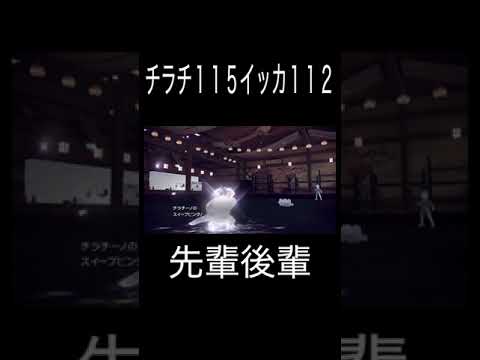 【ポケモンsv対戦】チラチーノVSイッカネズミ 新旧連続技鼠対決を制するのは？？