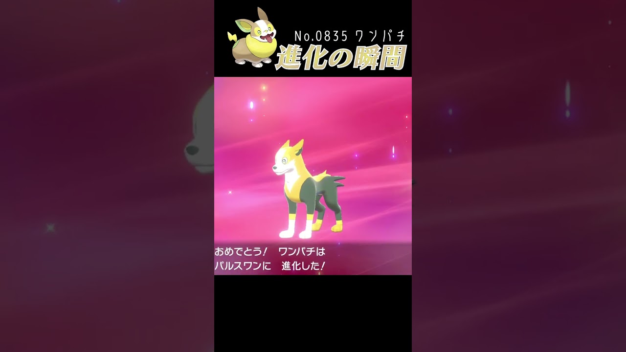 【ポケモン剣盾】ワンパチ 進化の瞬間 #shorts