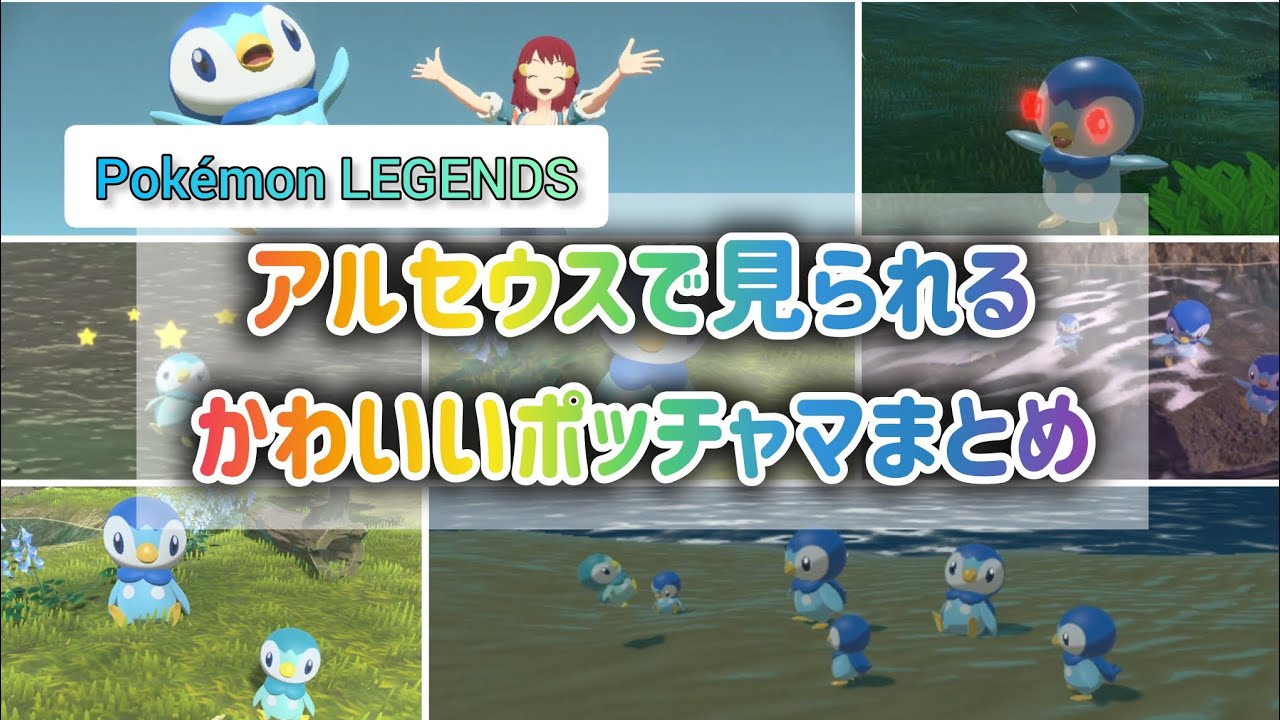 【Pokémon LEGENDS アルセウス】かわいすぎるポッチャマまとめ☆オヤブンもちょっと怖いけどかわいい♡