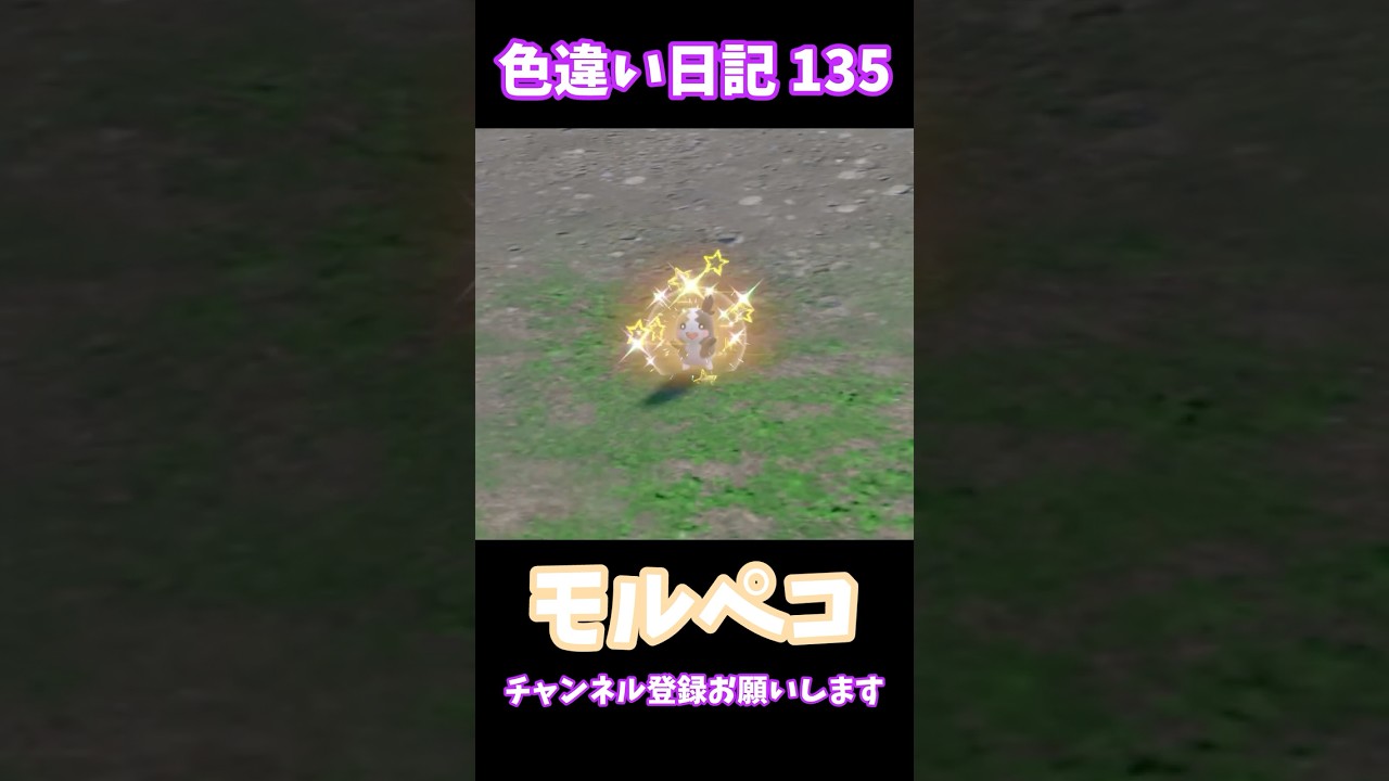 【ポケモンSV】モルペコ 色違い日記135 #shorts #ポケモン #色違い