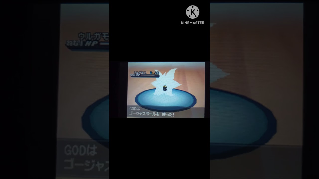 ポケットモンスターブラック2 色違いウルガモス捕獲  #色違いポケモン  #ウルガモス  #ポケットモンスター  #pokemon  #pokémon  #色違い  #ポケモン