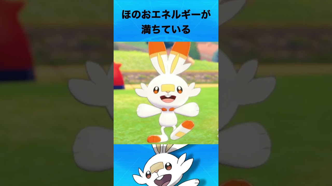 ヒバニーについて #ポケモン #ヒバニー