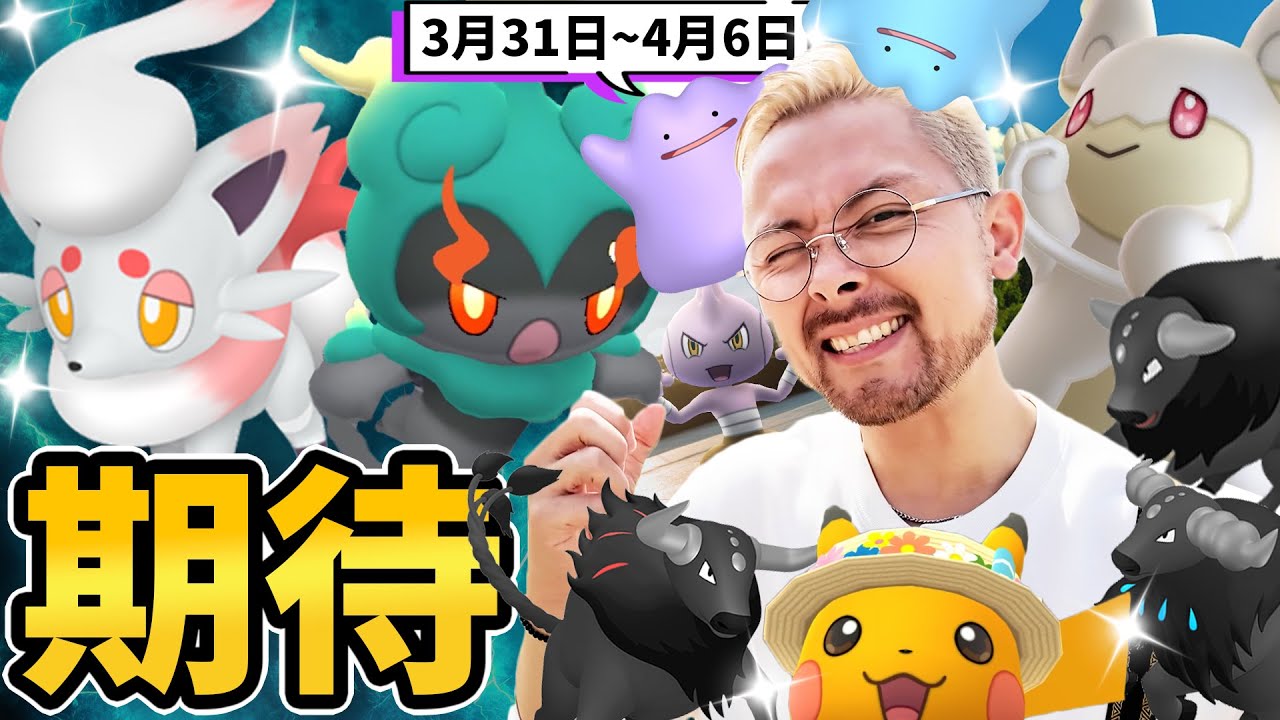 【追記コメント✅】期待！！ヒスイゾロアのサプライズ欲しいよな！？マーシャードーもケンタロスもメガタブンネもバルキーも期待してるんだよ！【ポケモンGO】